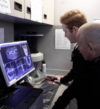Dentist looking at a computer screen with x rays of teeth