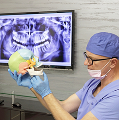 Dentist pointing out the jaw joints on a model of the skull